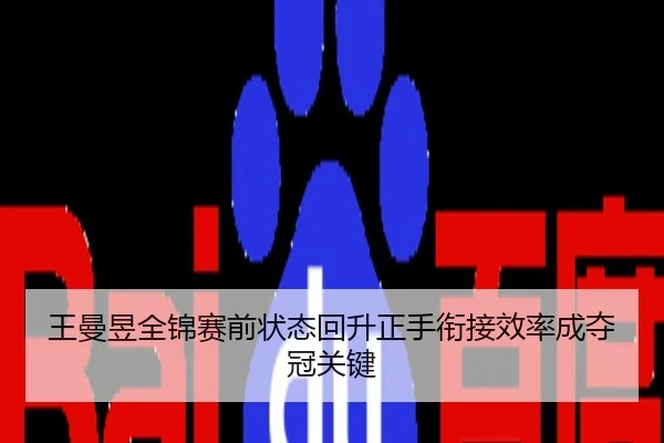 王曼昱全锦赛前状态回升正手衔接效率成夺冠关键